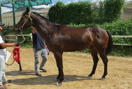 ������Ʈ�� ����