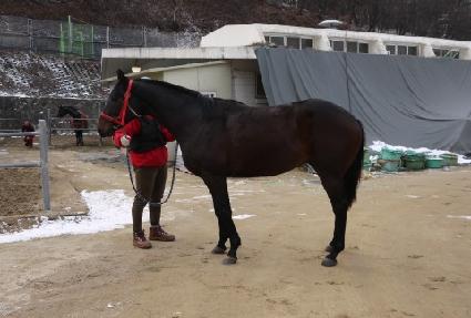 ������ũ ����