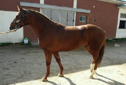 ����� ����