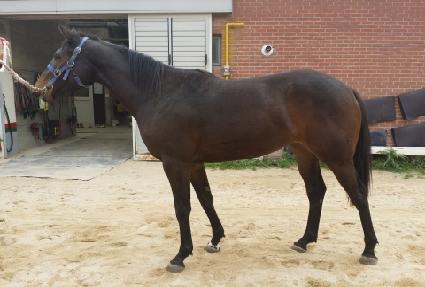 �ҳ�Ÿ�� ����