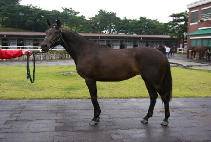 ������ ����