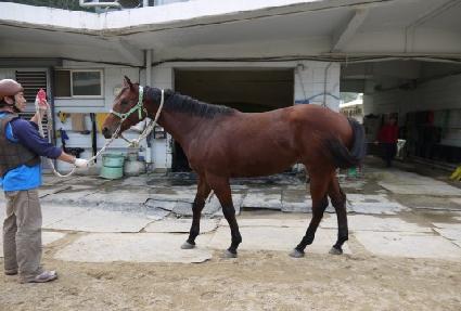 ���̾����� ����