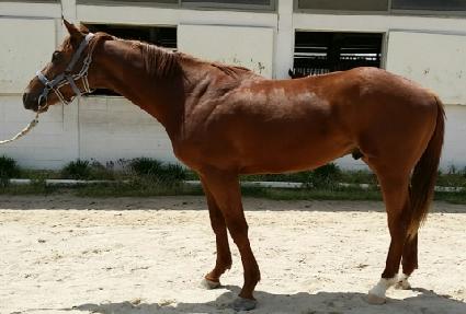 ���Ʈ���� ����