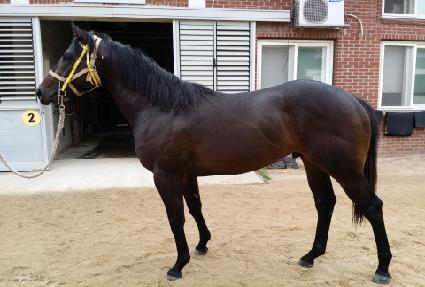 ������ŷ ����