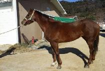 ���� (MUBIN) ����