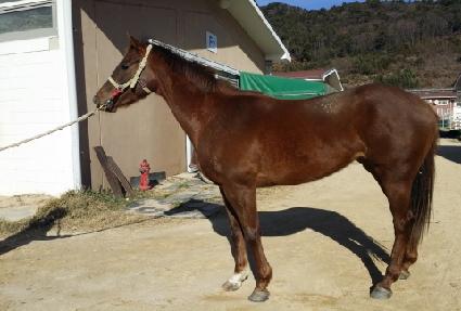 ���� ����