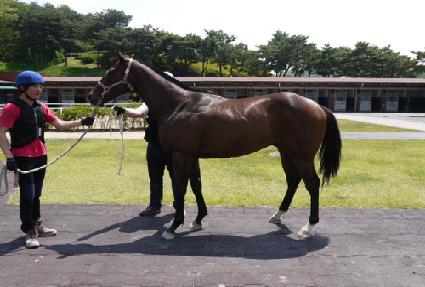 ������� ����