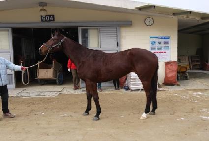 �����ũ ����