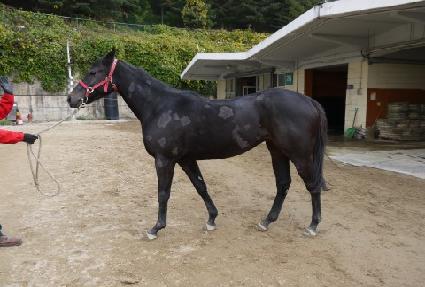 �������� ����