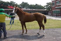 �ٶ����� (BARAMDORI) ����