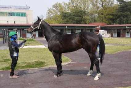 �׷��̵�ĸƾ ����