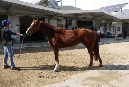 ����ũ���̽� ����