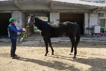 �������� (SUN FIGHTER) ����