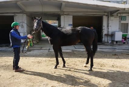 �������� ����