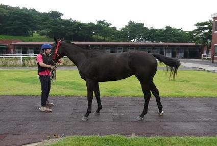 �̷����� ����