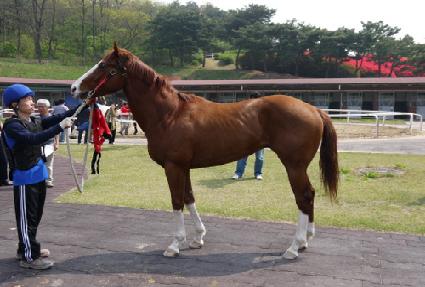 �븶���� ����