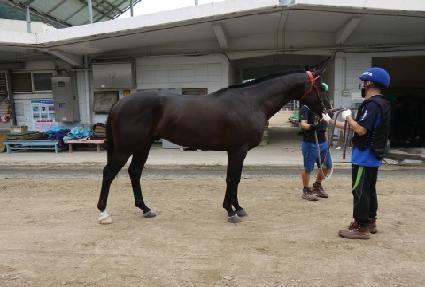 �������帮�� ����