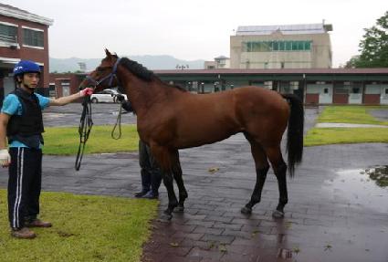 ������� ����