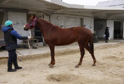 �������� ����