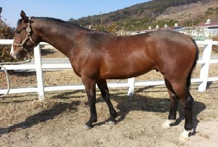 ����϶� ����