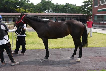 ��ǳ ����