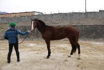 Ʈ���û��� (TRIPLE SHINE) ����