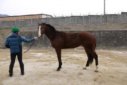 Ʈ���û��� ����