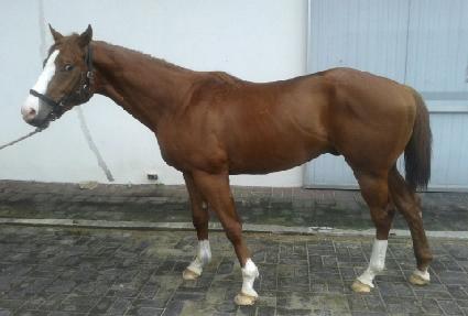 �׷��̽����� ����