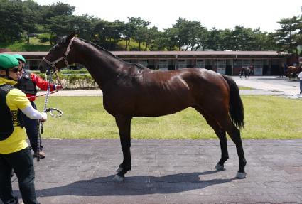 �帲�Ŀ� ����