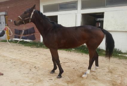 �̱���Ʈ ����