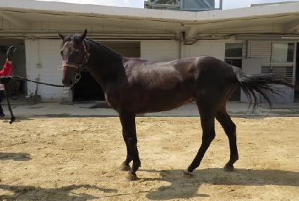 �Ҳɿ��� ����