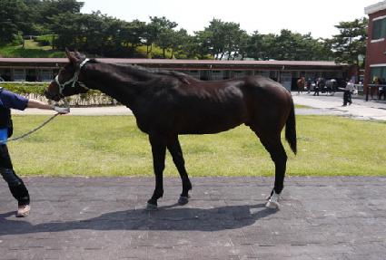 ���ĸƾ ����