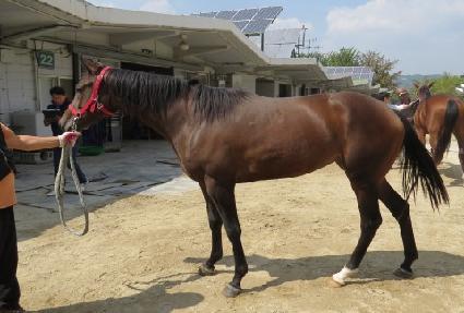 ������ȭ ����