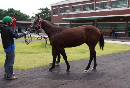 ��õ���� ����