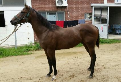 Ŭ���� ����