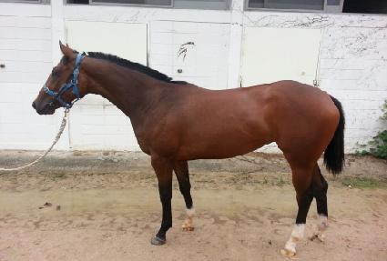 ����� ����