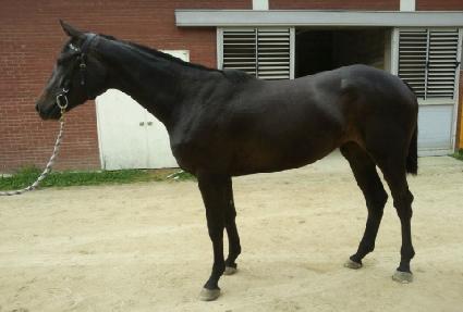 ���� ����