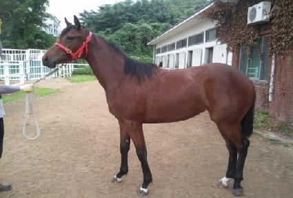 ��׿��̽� ����