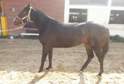 �����϶� ����