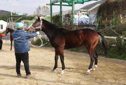 ��ȣ�ƶ� ����