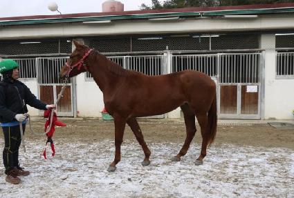 �μ� ����