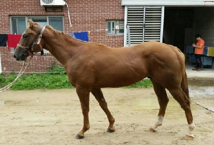 �������� ����