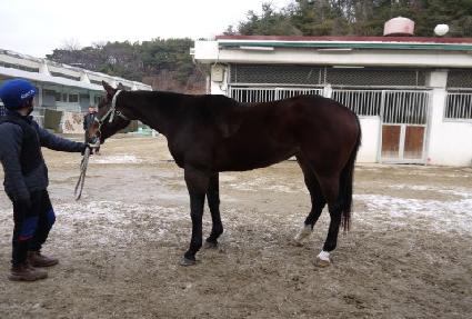 �̼� ����