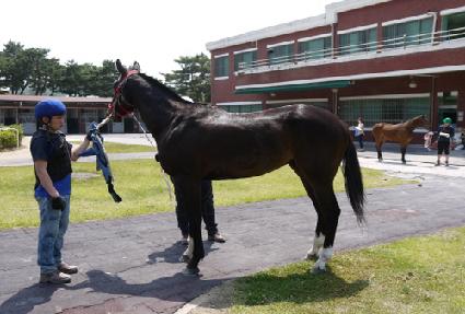 �����Ǿ� ����