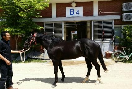 �Ŀ������� ����