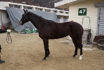 �ֻ󿩽� (CHOESANG YEOSIN) ����