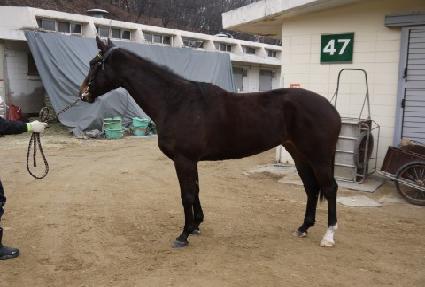 �ֻ󿩽� ����