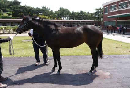 ���丮�� ����