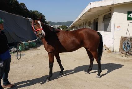 ����Ʈ���� ����