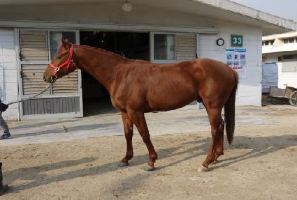 ���Ʈ���� ����